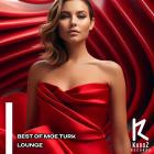 Moe Turk - BEST OF MOE TURK LOUNGE