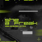 Armin van Buuren & Skytech - She A Freak