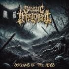 Sadistic Impalement - Screams of the Abyss