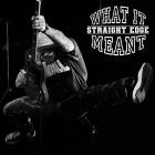 What It Meant - Demo II