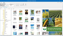 File Viewer Plus v6.2.2.120 Portable