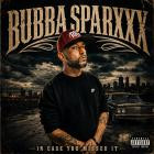 Bubba Sparxxx - In Case You Missed It