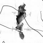 30 - WebStoreUrl Https:sushitechrecords Bandcamp Comalbumv-A-Tessera-II