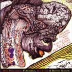 George Clinton - - Go Fer Your Funk  