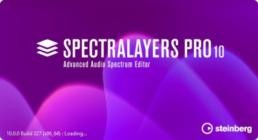 Steinberg SpectraLayers Pro v10.0.0.327 (x64)