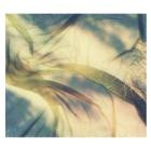 Deadbeat-Kansai Botanicals- QD45 -24BIT-WEB-FLAC-2026-BABAS