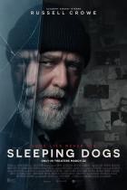 Sleeping Dogs