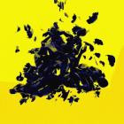 Psylla - Not Everything Can Be Destroyed - 