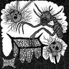 Hater Mode - Hate Is All You Need