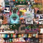 Goose - - Live At Madison Square Garden  