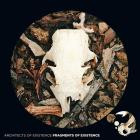 Architects of Existence-Fragments Of Existence- SEIZELXXX -24BIT-WEB-FLAC-2026-BABAS