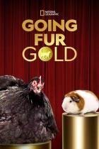 Auf.alle.Felle.Gold.S01E04.GERMAN.DL.DOKU.WEB.h264-PtBM