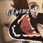 Pavement - - Hecklers Choice Big Gums And Heavy Lifters (A Pavement Collection)