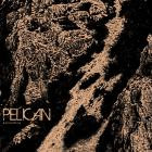 Pelican-Ascending-16BIT-WEB-FLAC-2026-FLACCiD