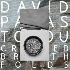 David Papapostolou - cracked breath folds