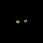 Cat's Eyes - Cat's Eyes