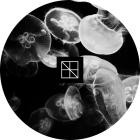Stijn Vanmarsenille - Underneath The Sea Lies An Ocean Part 2