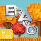 BRAVO Hits (04.12.2024)