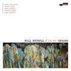 Bill Frisell - In My Dreams