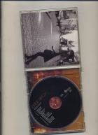 Diane Birch - Bible Belt