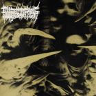 False Witness - Severed From Life
