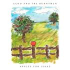Echo And The Bunnymen - Apples For Isaac