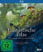 Fantastische Pilze: Die magische Welt zu unseren Füßen