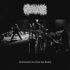 Gosudar - Demented Live From the Realm
