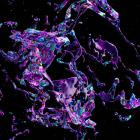 Helena Hauff - Living With Ladybirds