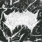 Consanguinity - 2024 Demos