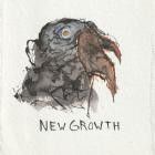 The Billy Crosbys - New Growth