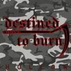 Destined To Burn - Hollow