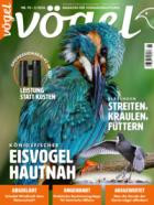 Voegel - Magazin fuer Vogelbeobachtung 93/2026