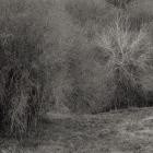 K  Leimer - Atrophies for Piano