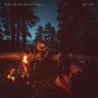 Roger Weeks - What's the Worst That Could Happen