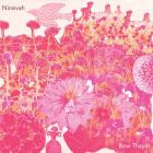 Bow Thayer - Ninevah