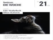 Spektrum Die Woche 21/2023