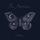 Oculi Melancholiarum - Antheraea