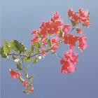 Hilary Geddes - Redleaf