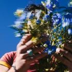 Joe Jonas-Music For People Who Believe In Love-WEBMARR
