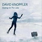 David Knopfler - Skating On The Lake