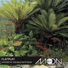Flatplay-Mystery Of The Belly Button EP- MS082D -16BIT-WEB-FLAC-2026-BABAS
