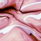 Love In Colour-Are You Alright- GS040 -24BIT-WEB-FLAC-2022-BABAS