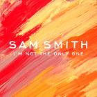 Sam Smith-Im Not The Only One-EP-24BIT-WEB-FLAC-2014-SYMPHONY