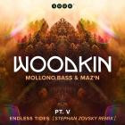 WOODKIN - Endless Tides (Stephan Zovsky Remix)  