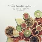 The Wonder Years-Burst and Decay  Volume II -16BIT-WEB-FLAC-2020-FLACCiD