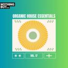 VA - Nothing But -  Organic House Essentials, Vol  17