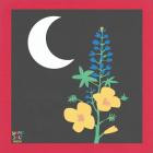 Summer Salt-Reside-16BIT-WEB-FLAC-2025-FLACCiD