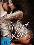 Secret Love: Eine Affäre für 100 Tage