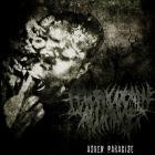 Federal Death Alliance - Ashen Paradise